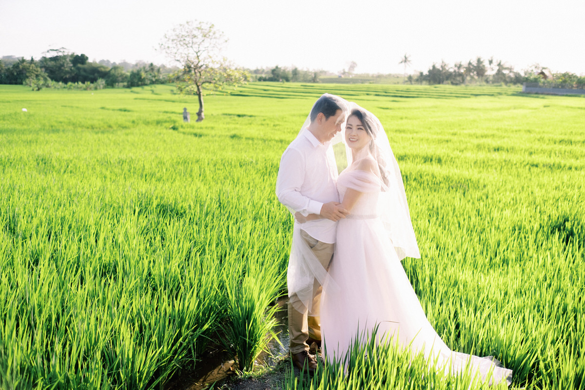 canggu rice fields photo spot