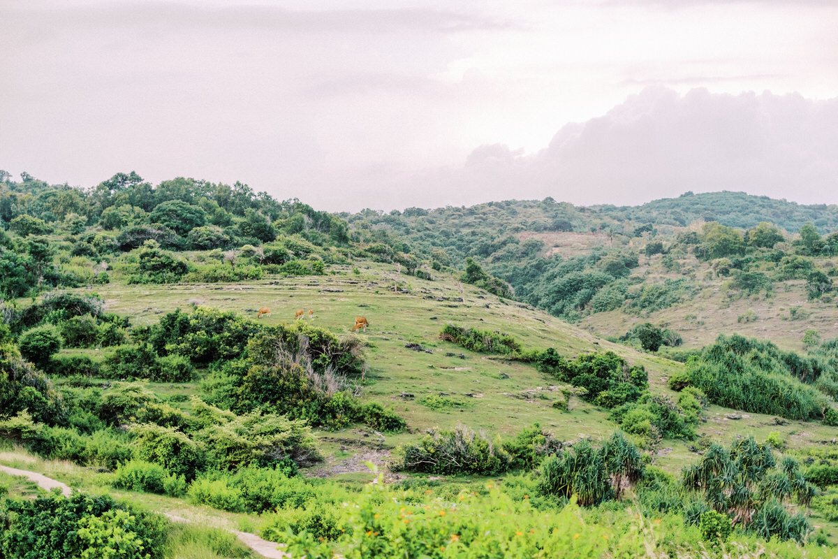 nusa penida prewedding