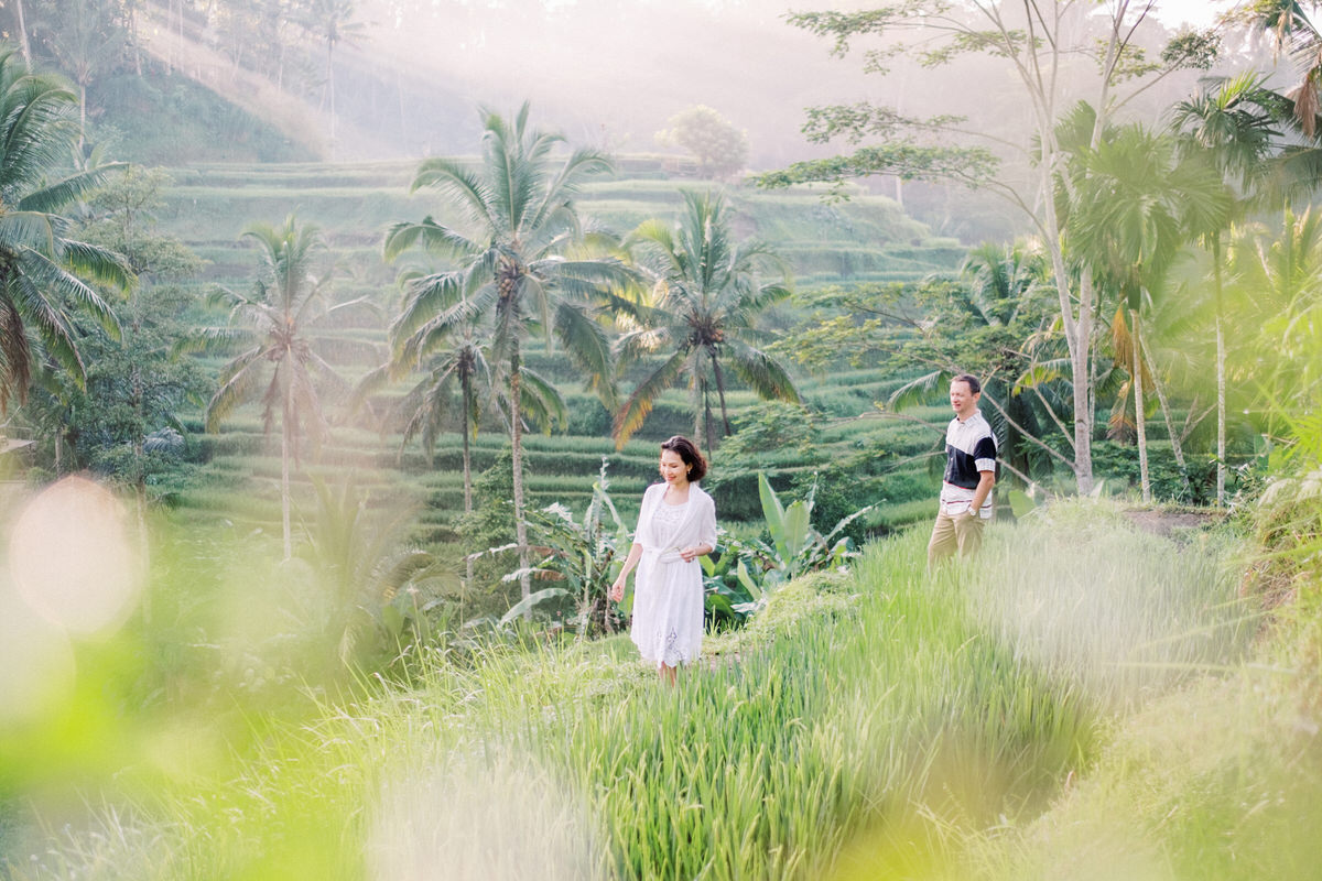 Tegalalang Rice Terraces Photo Spot