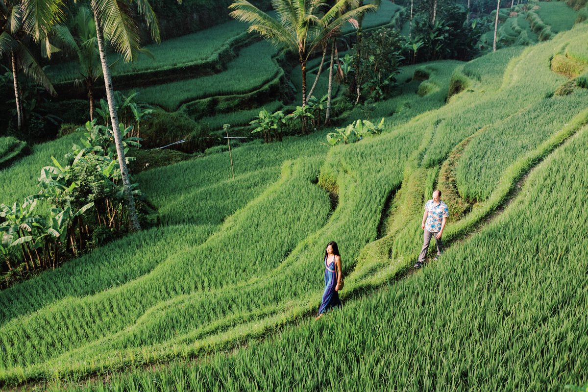 Tegalalang Rice Terraces Photography