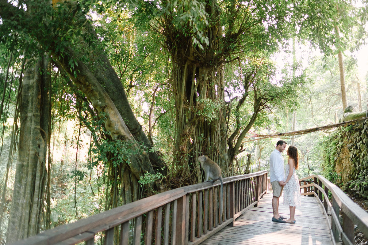 ubud monkey forest honeymoon