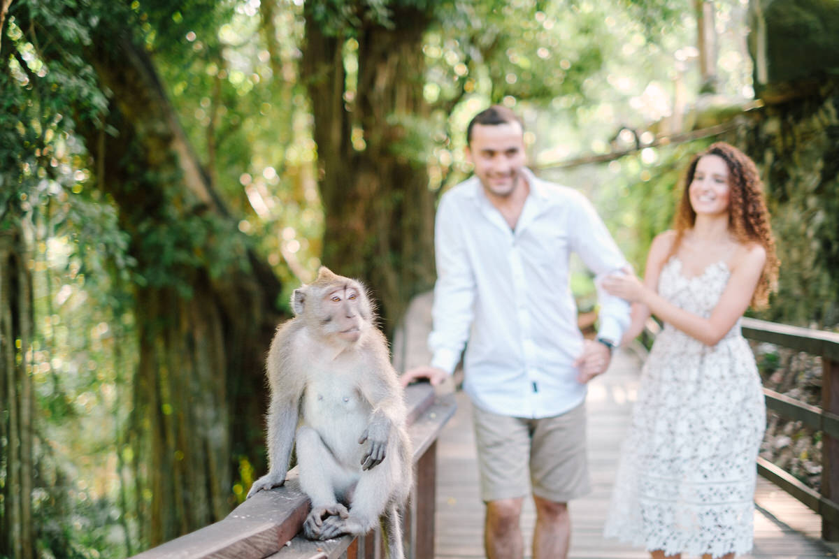 ubud monkey forest honeymoon