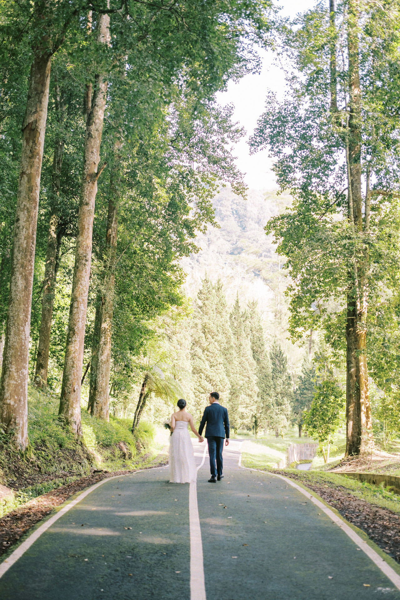 bedugul botanical garden prewedding