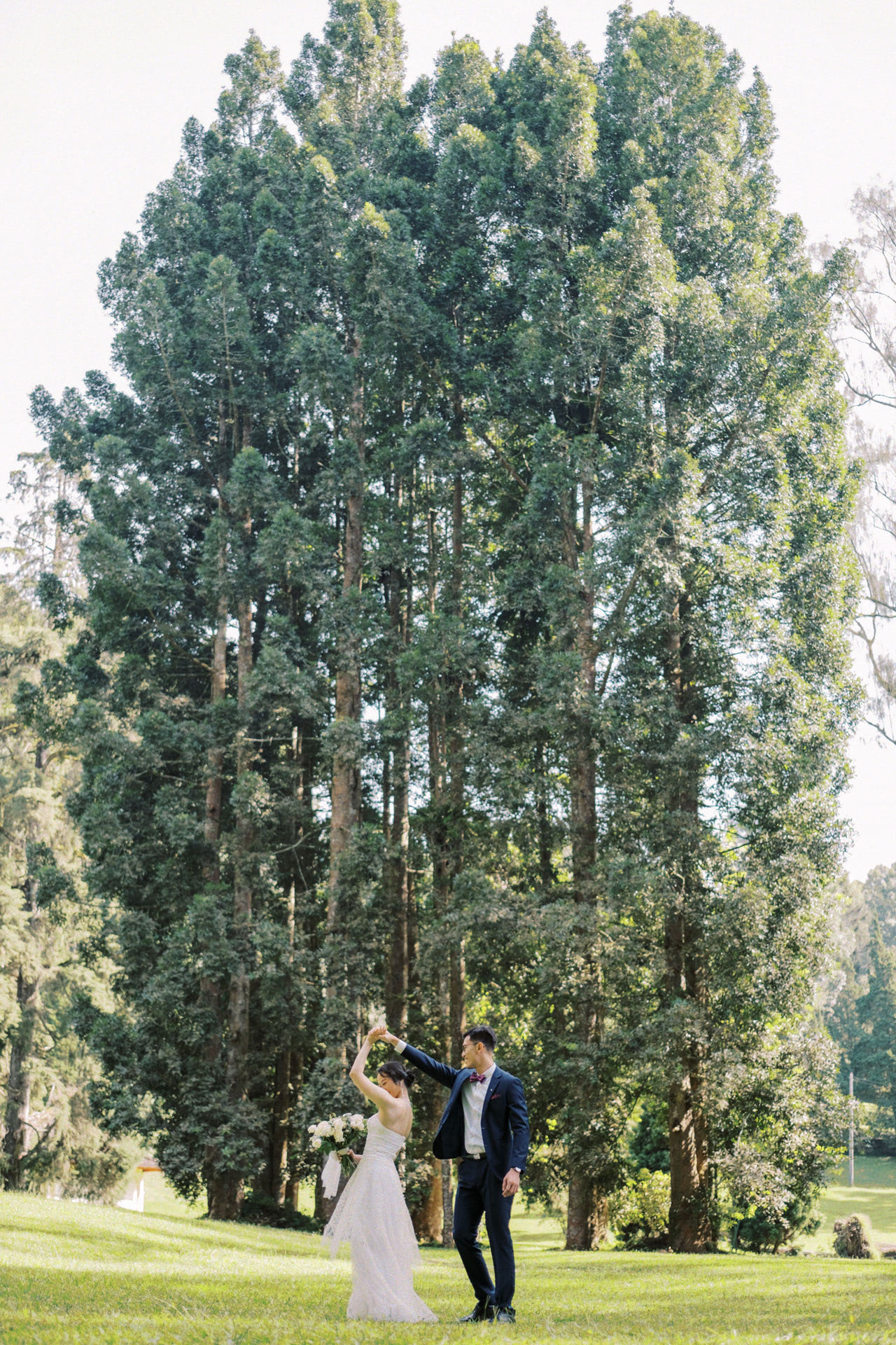 bedugul botanical garden prewedding