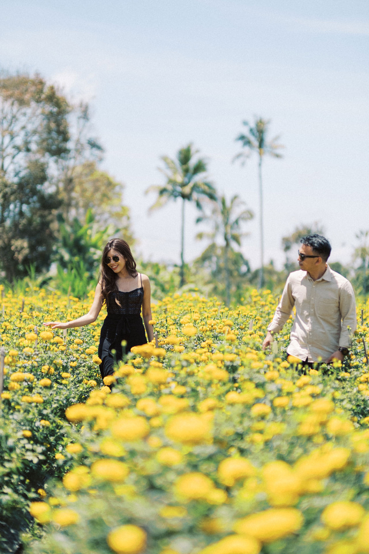 bali marigold fields