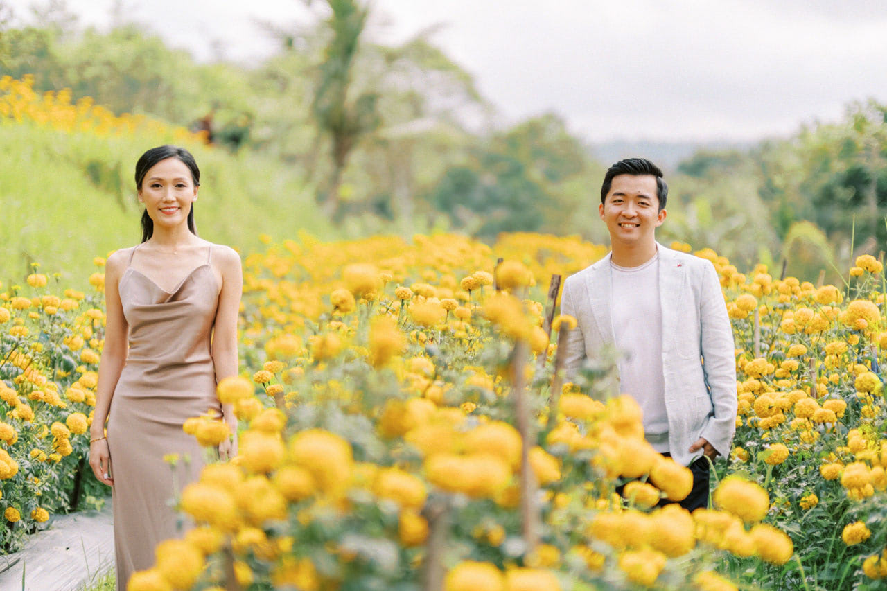 bali marigold fields