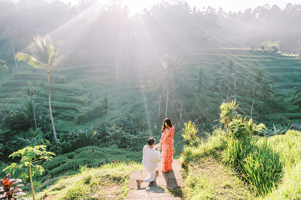 rice terraces bali marriage proposal