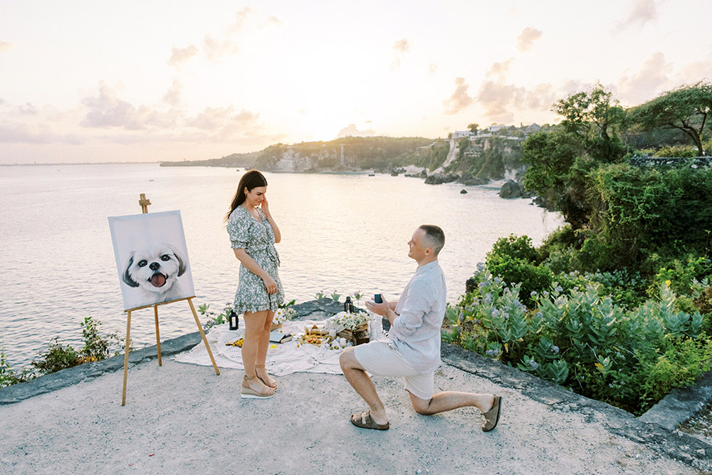 picnic proposal in bali