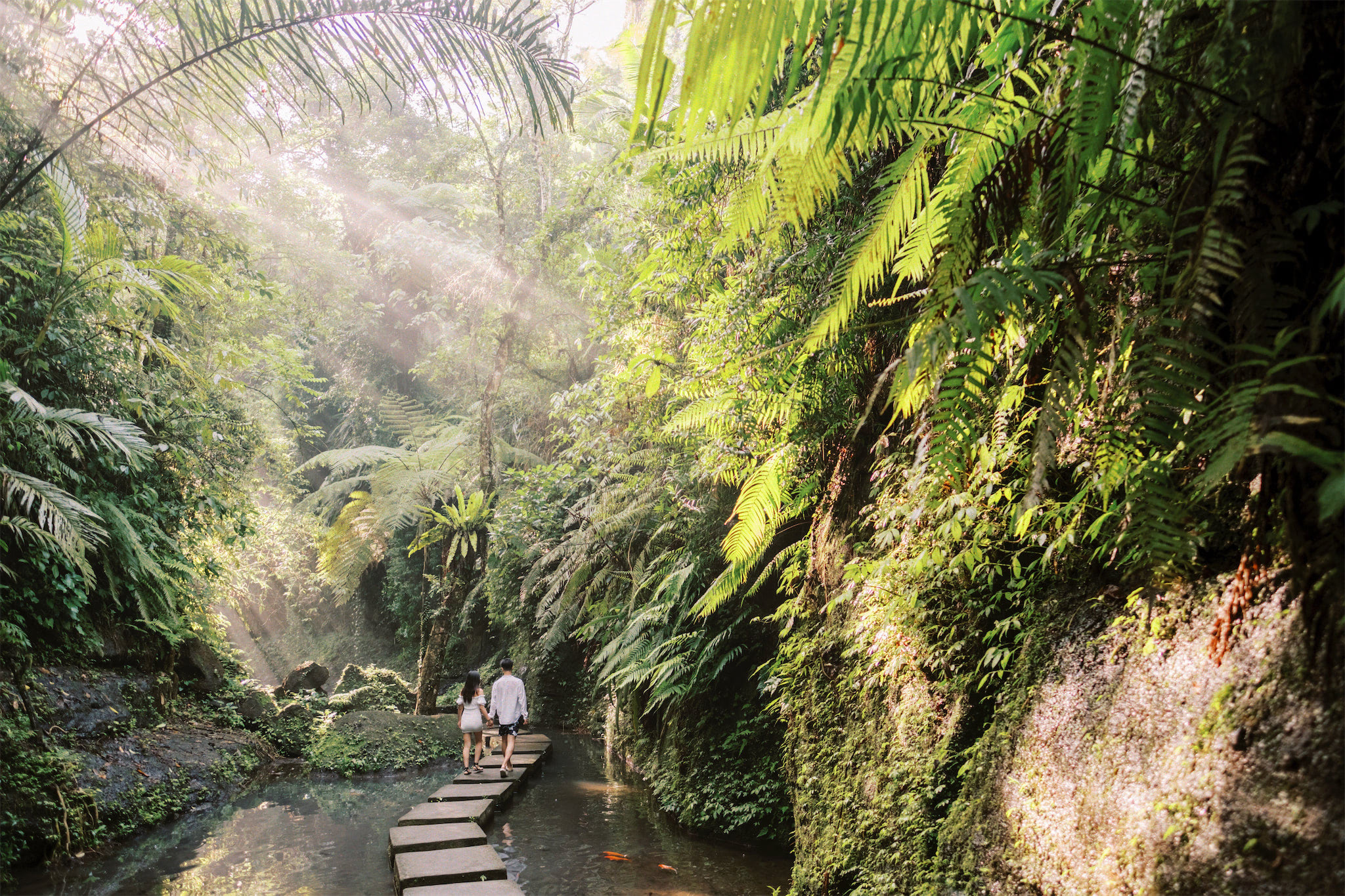 bayad waterfall bali