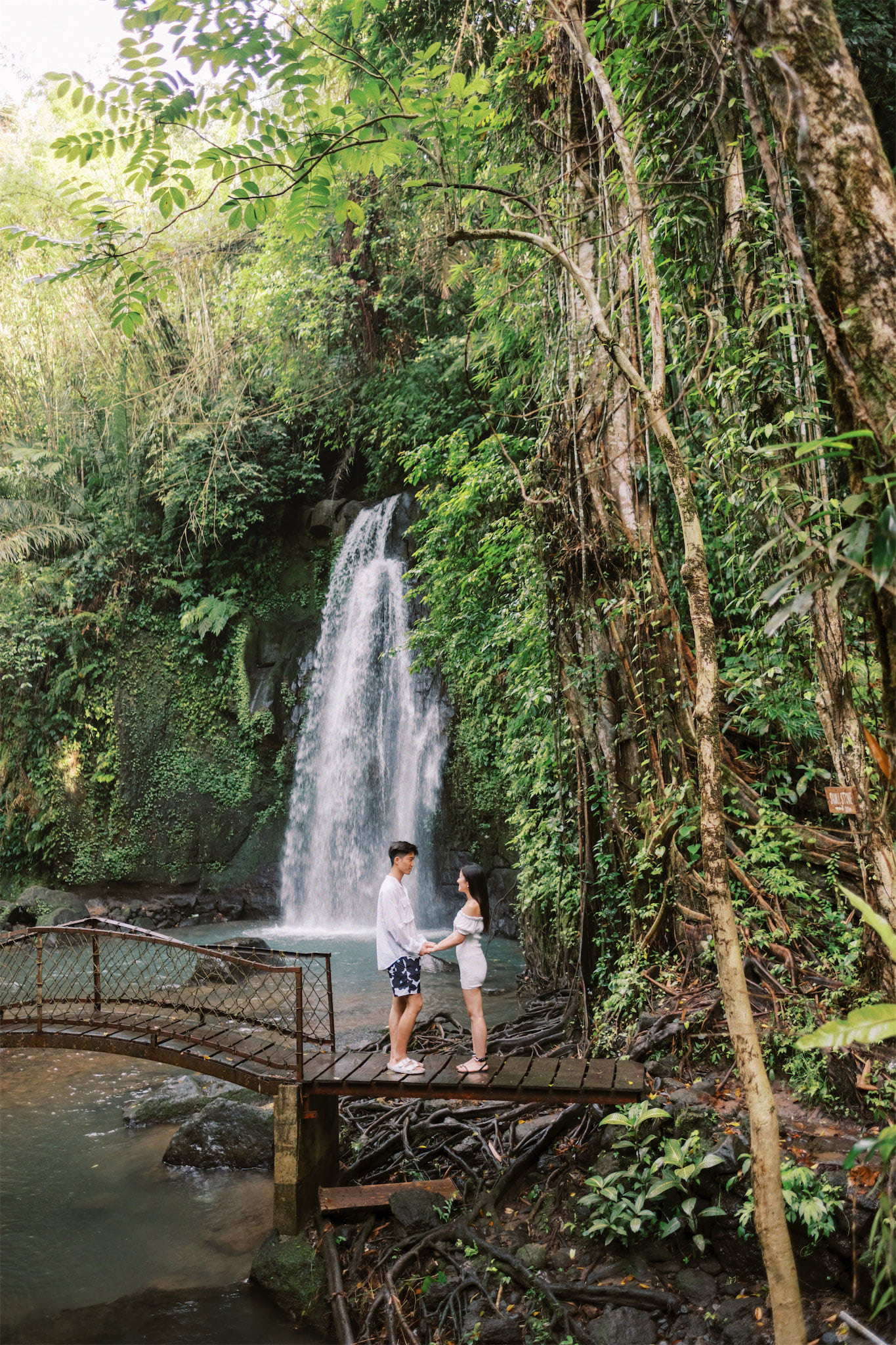 bayad waterfall bali