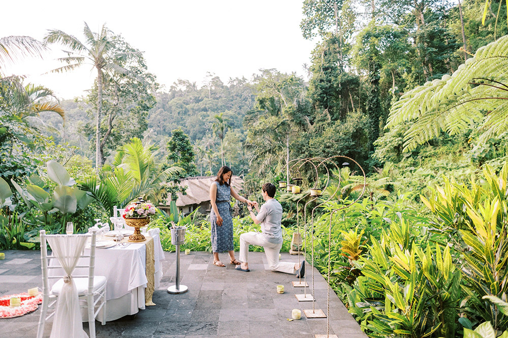 jungle ubud dinner proposal