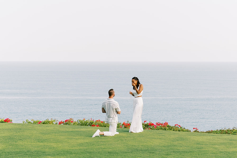 ocean view proposal in a private villa