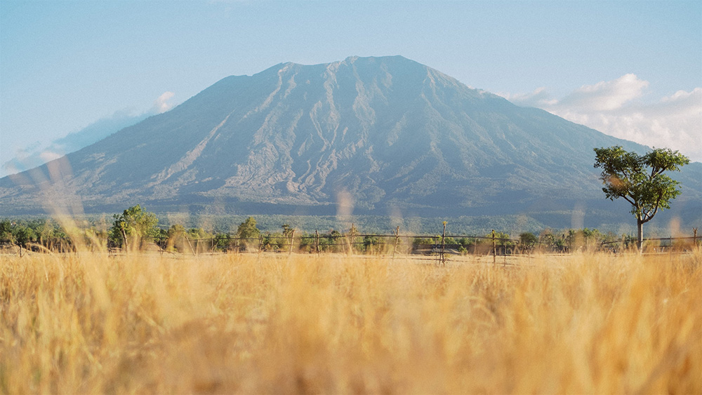tianyar savanna prewedding