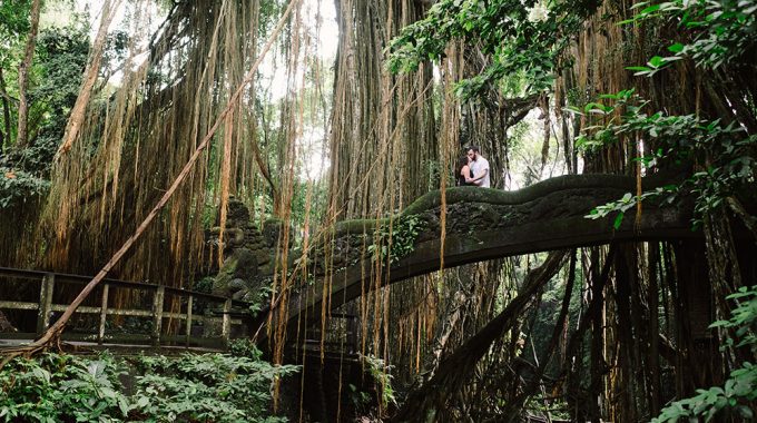 bali honeymoon photography in monkey forest