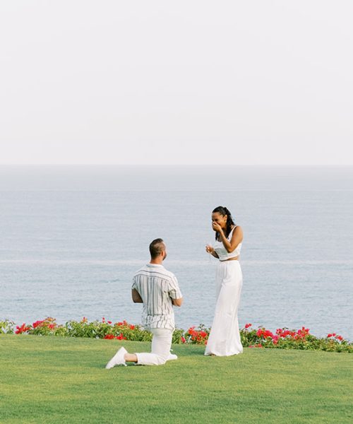 ocean view proposal in a private villa