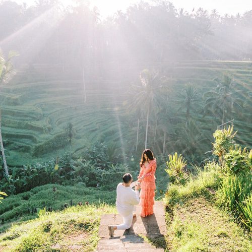 rice terraces bali marriage proposal